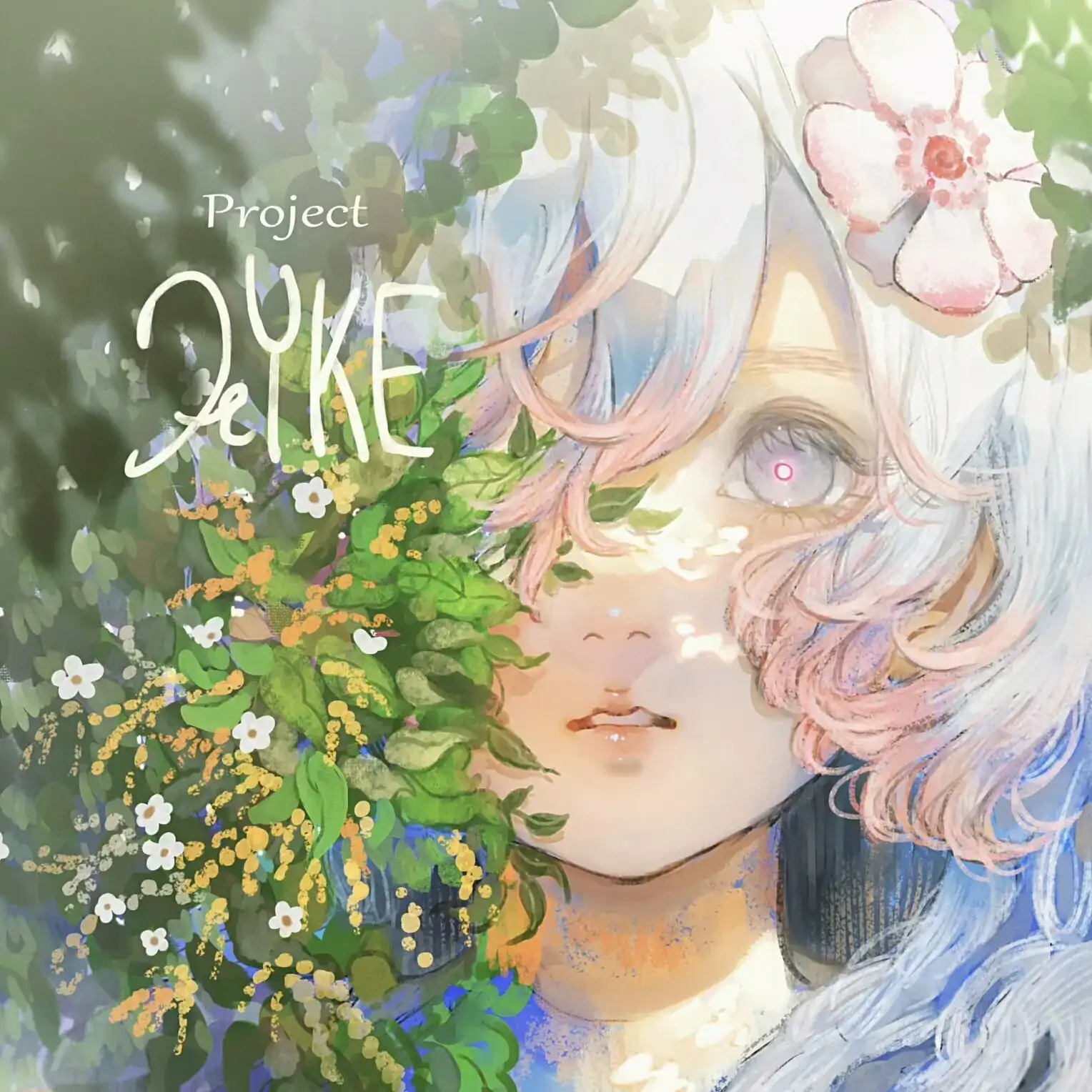 Project HYKE