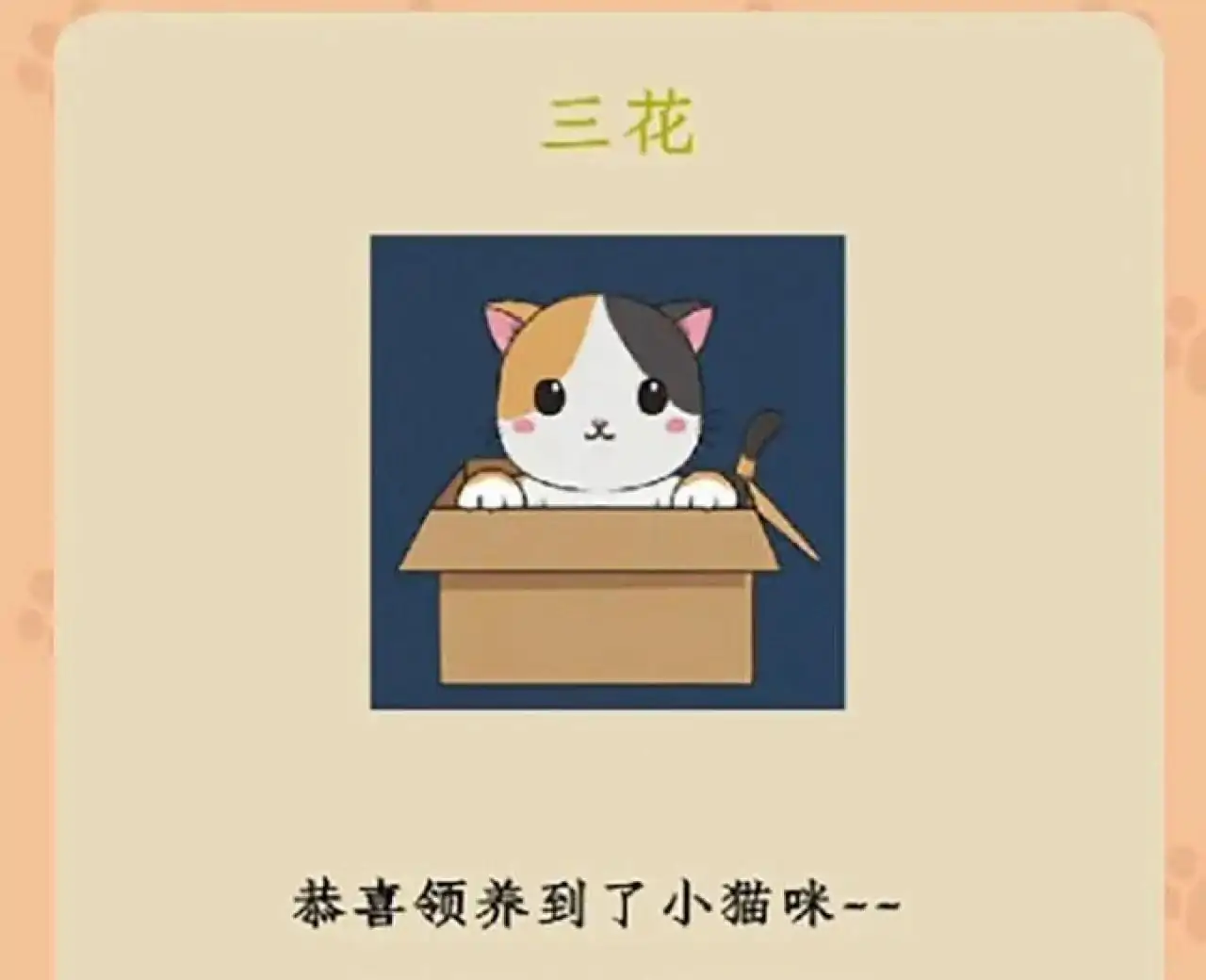喵宠乐园
