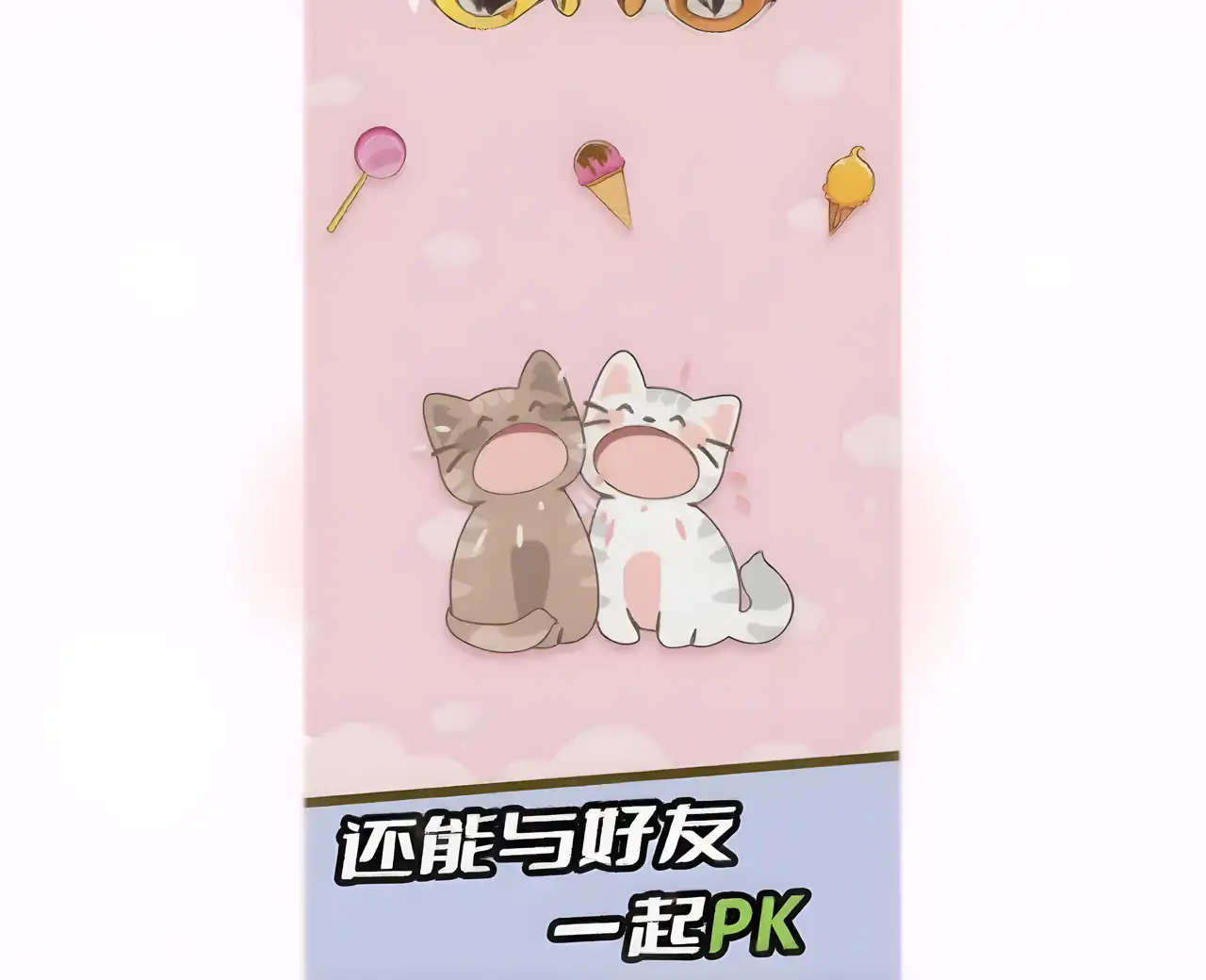 猫猫二重奏