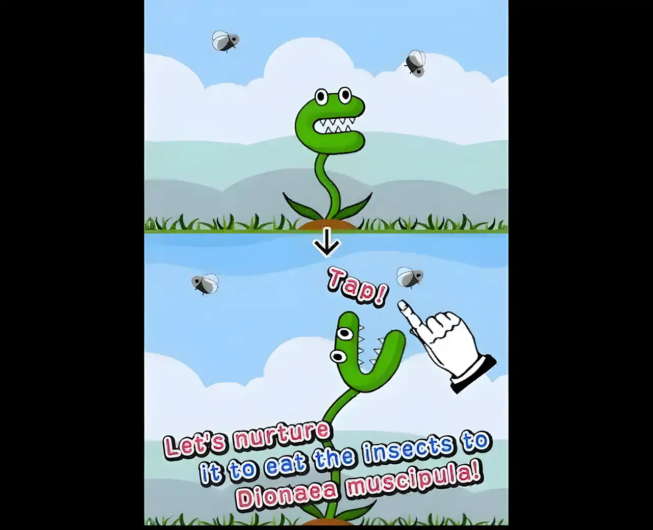 捕蝇草