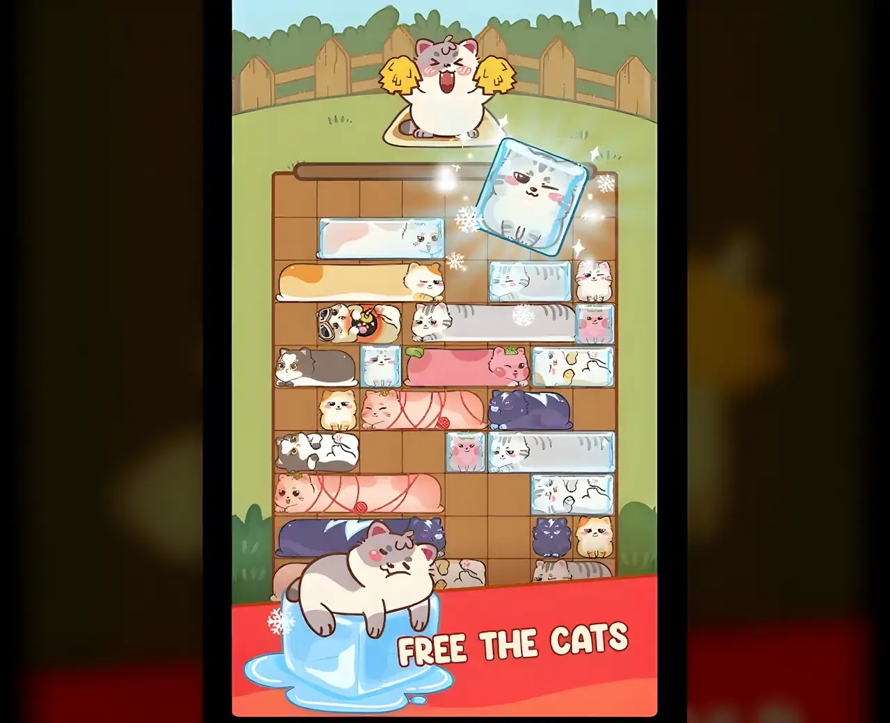 滑动猫