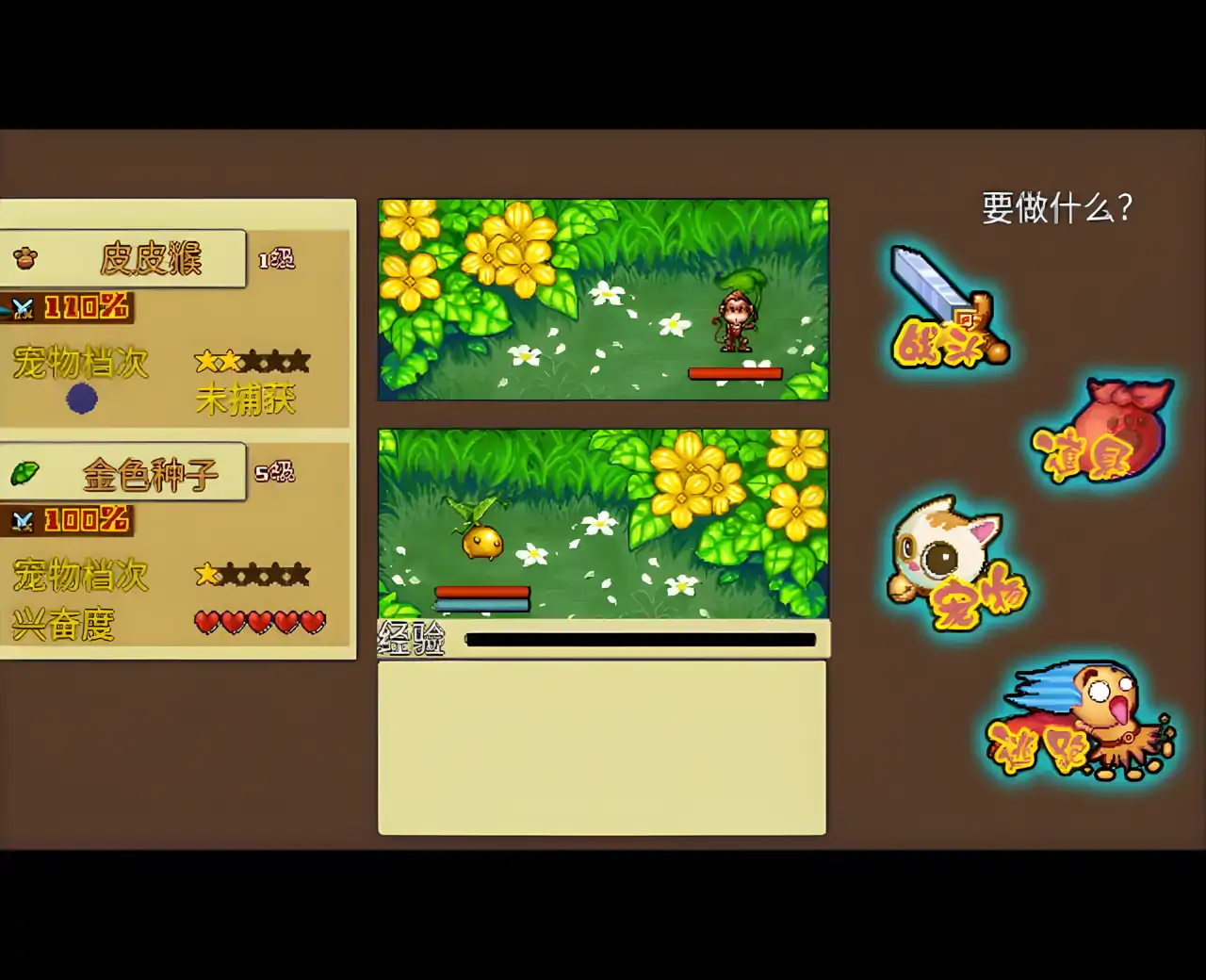 宠物王国4白金