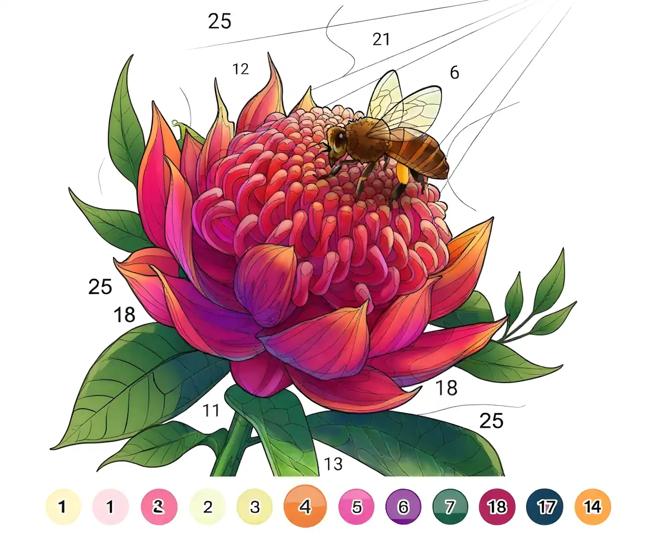 涂色-按数字涂色