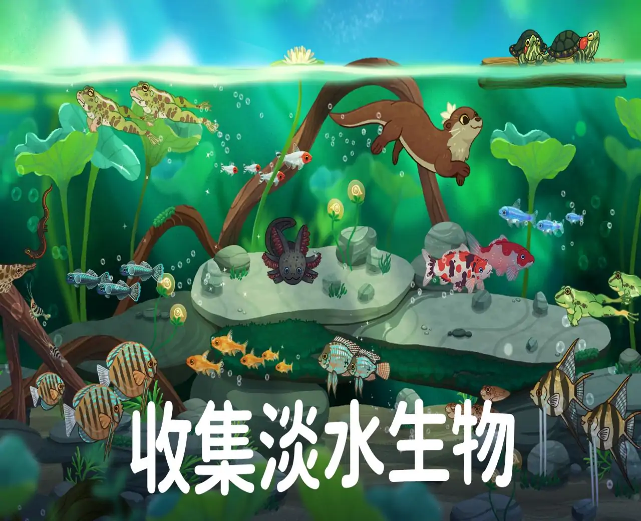 池趣
