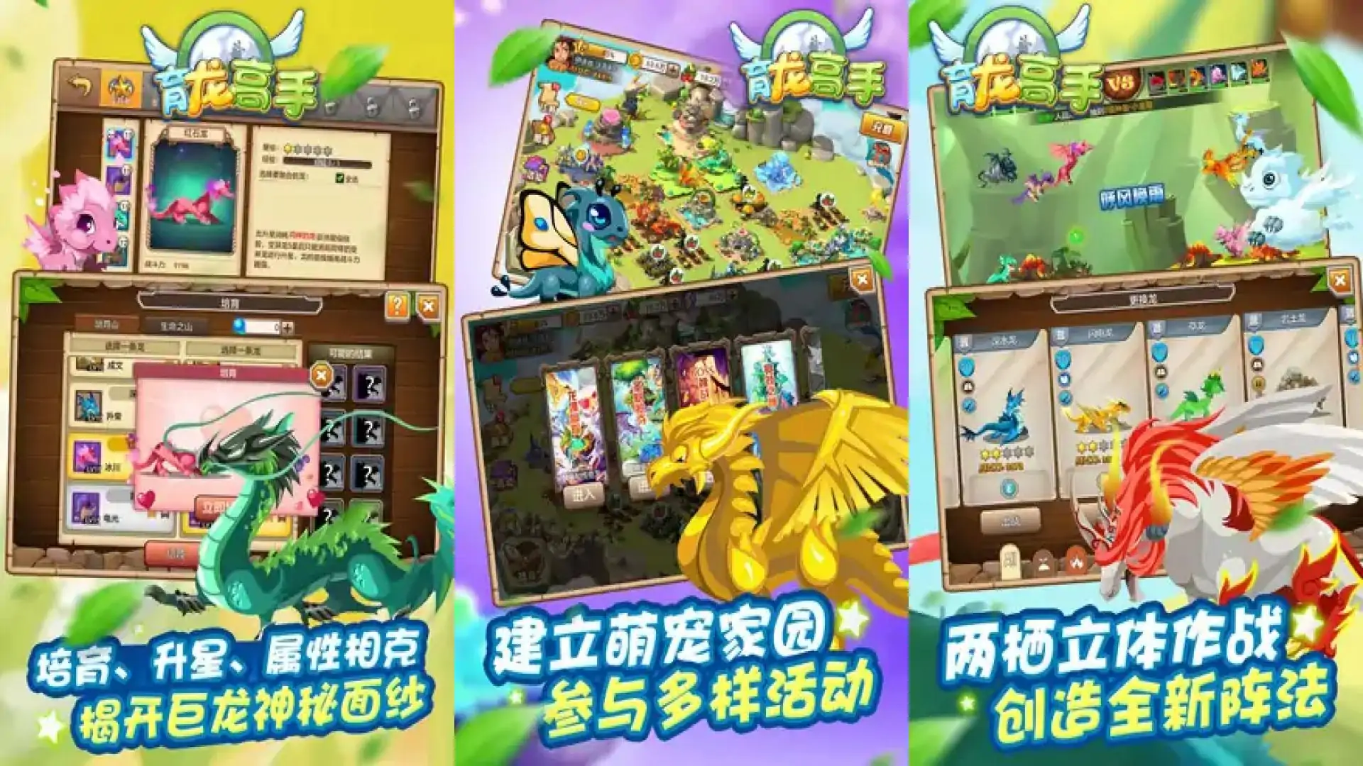 育龙高手