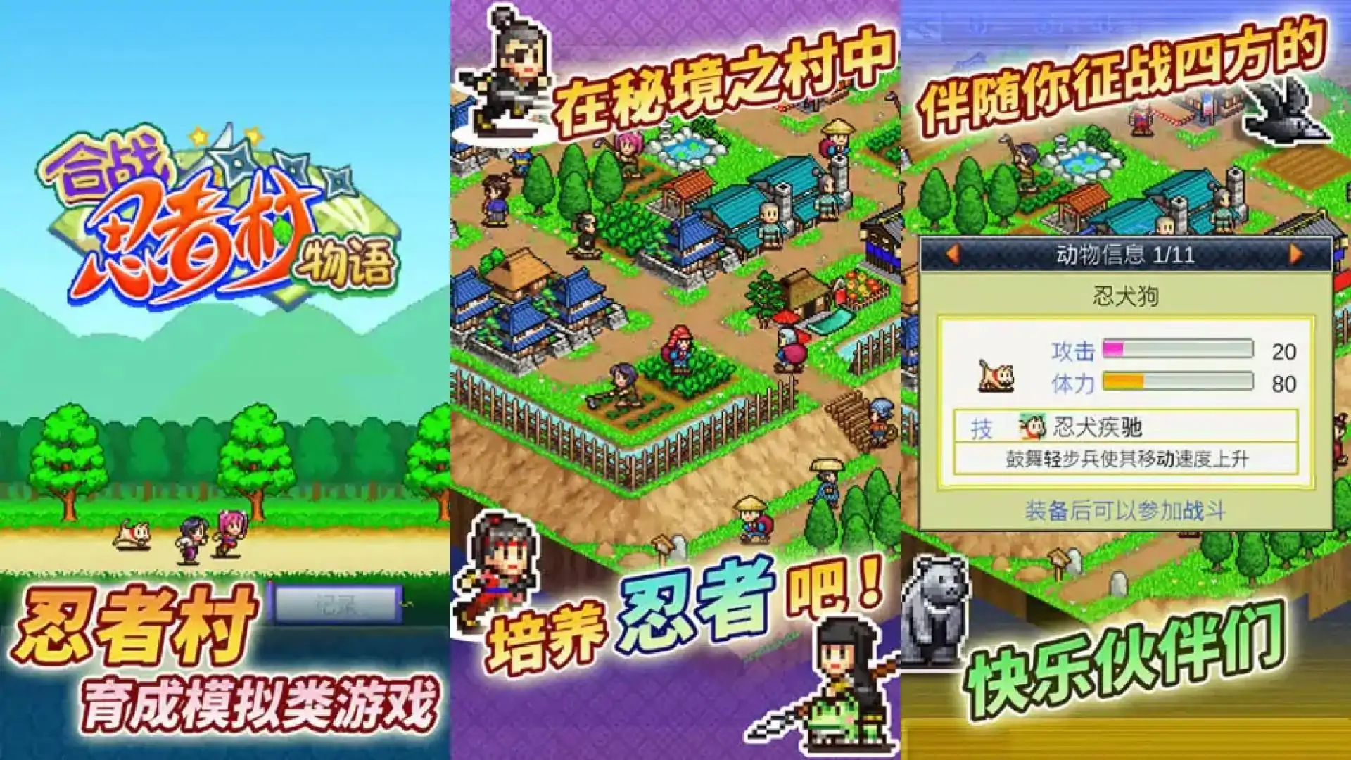 合战忍者村