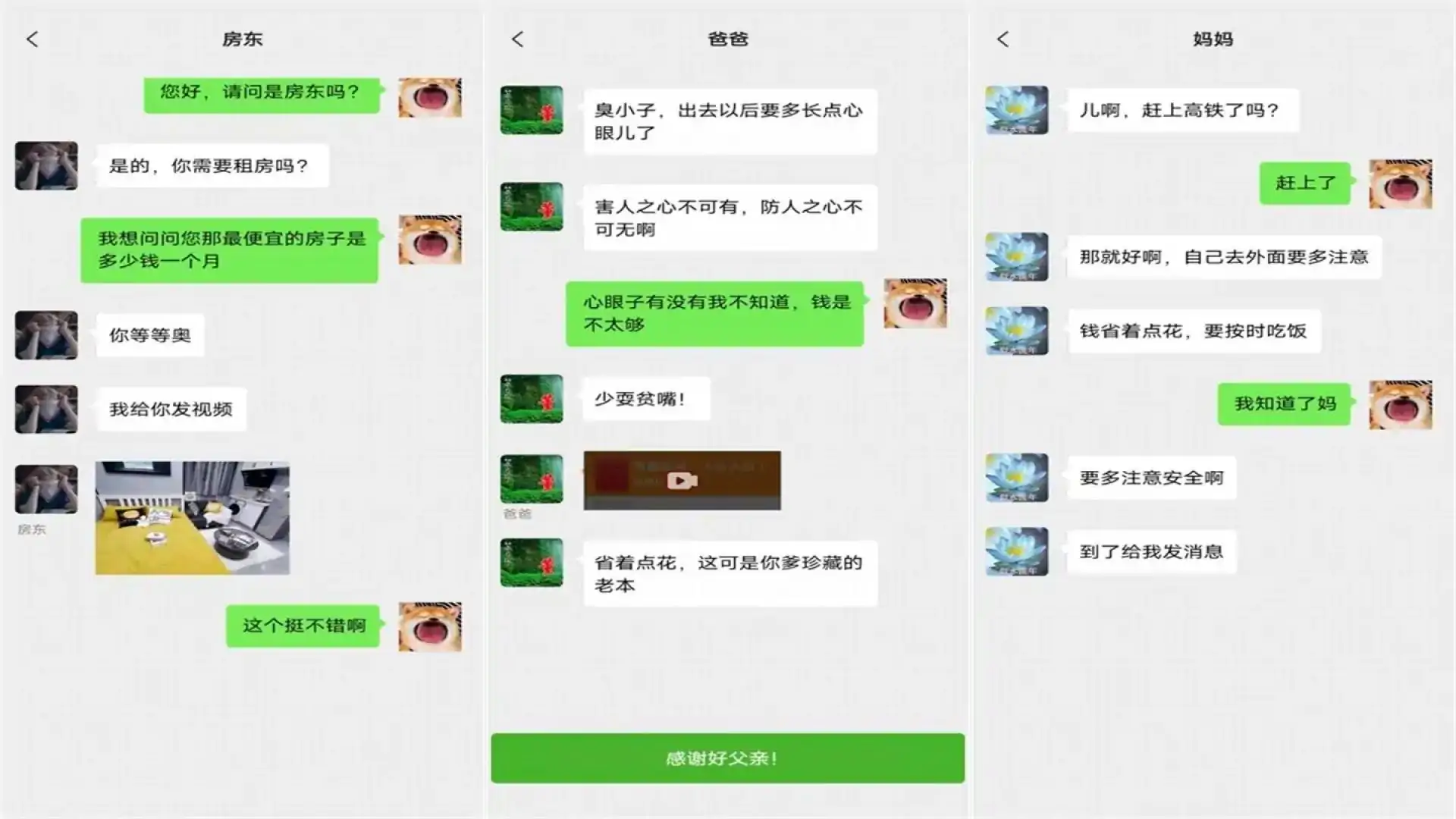 职场特工