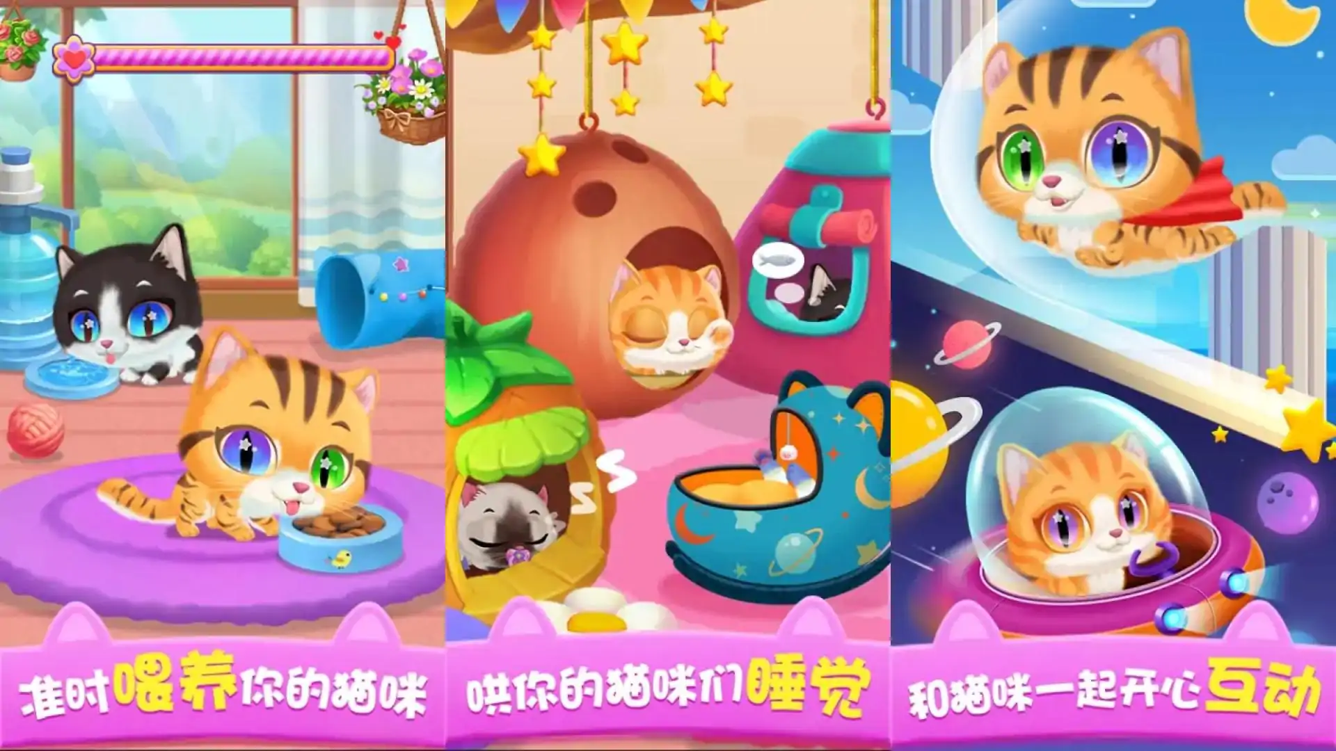 猫咪公主