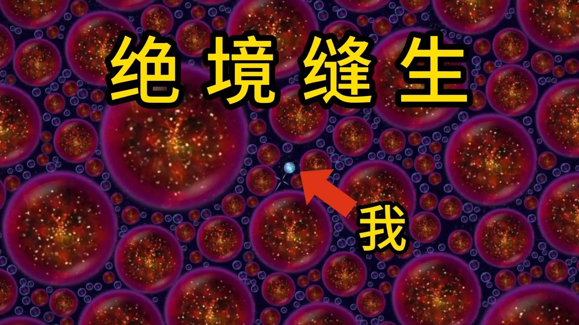 星噬（主播同款联机版）