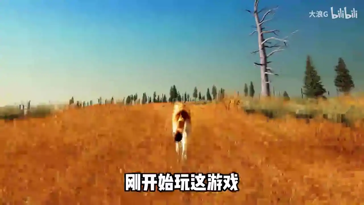 野狼迷踪（闪迹云游戏）