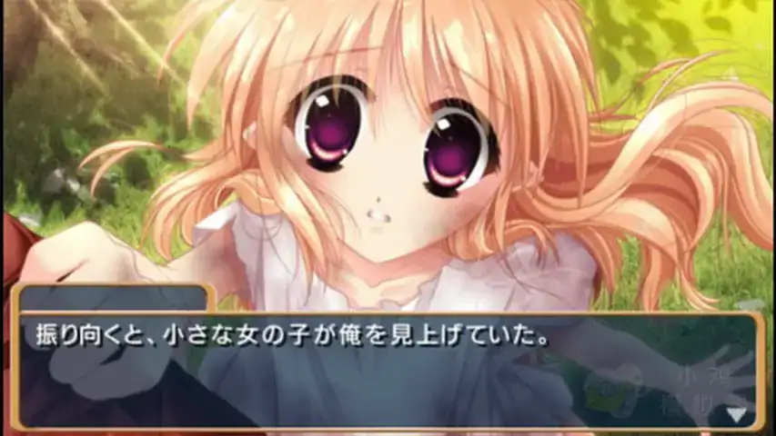 飞龙少女养成记（PSP游戏）