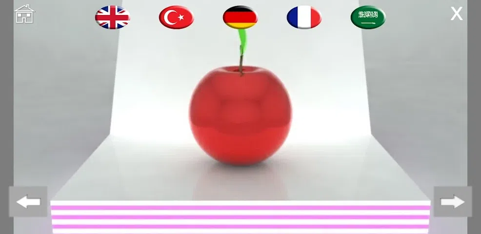互动书；水果