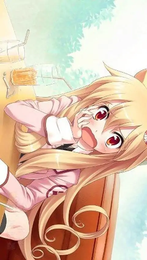 樱花战国（PSP游戏）