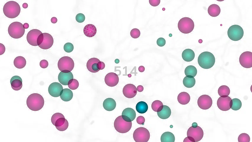 孢子