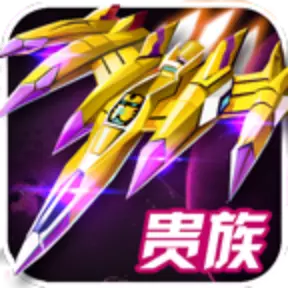 中队战机